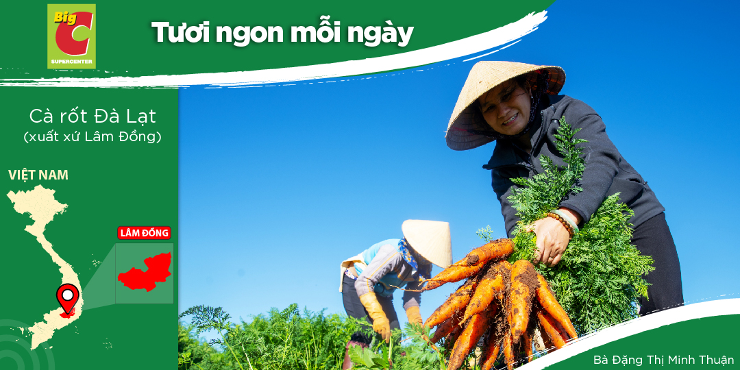 ĐẶNG THỊ MINH THUẬN - NÔNG DÂN TRỒNG CỦ CẢI TRẮNG VÀ CÀ RỐT TẠI ĐỨC...